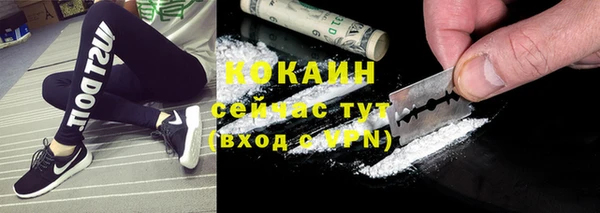 стаф Абаза