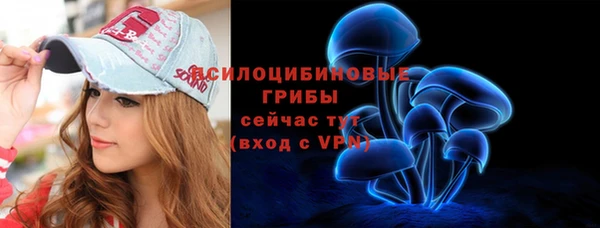 стаф Абаза