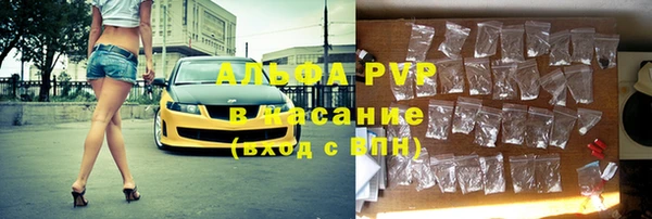 стаф Абаза