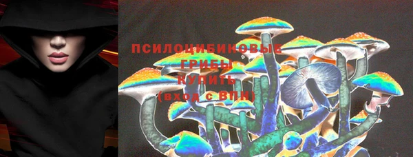 стаф Абаза